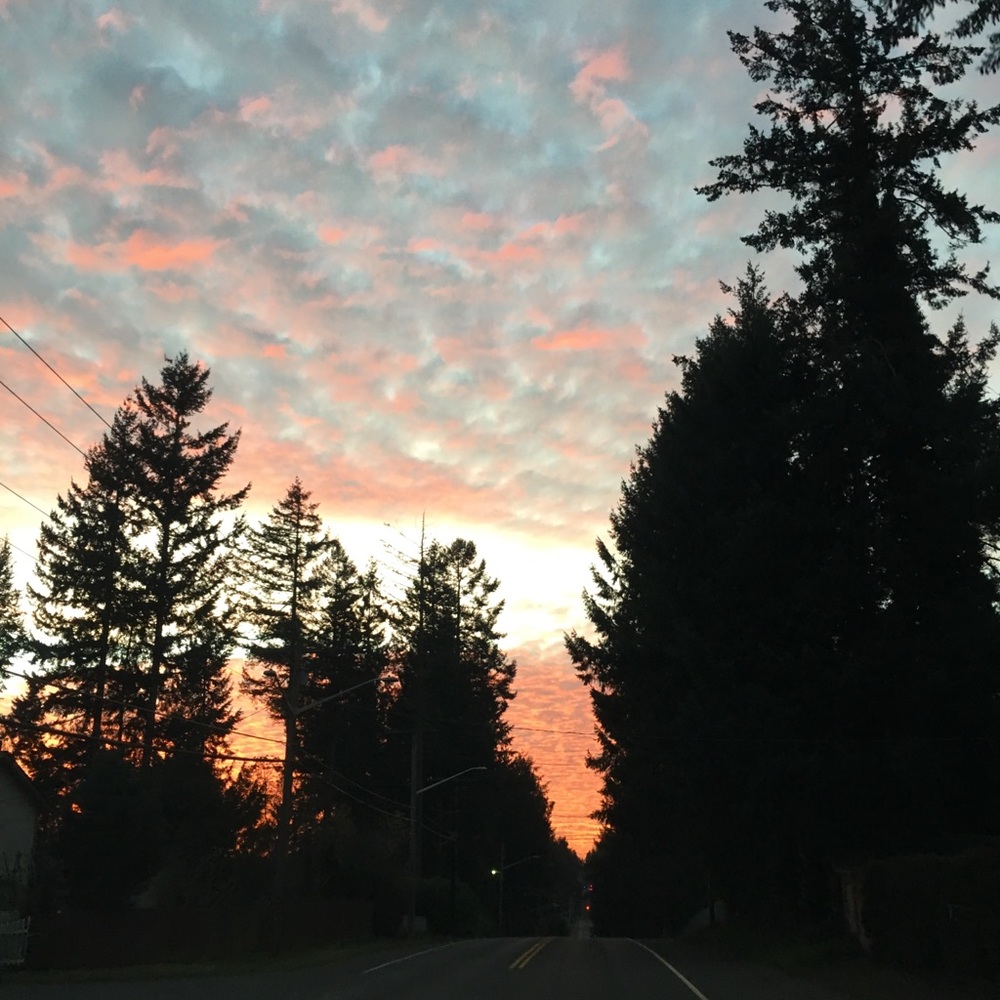 Meet your Posher, Perla